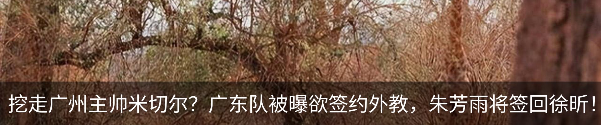 资讯中心